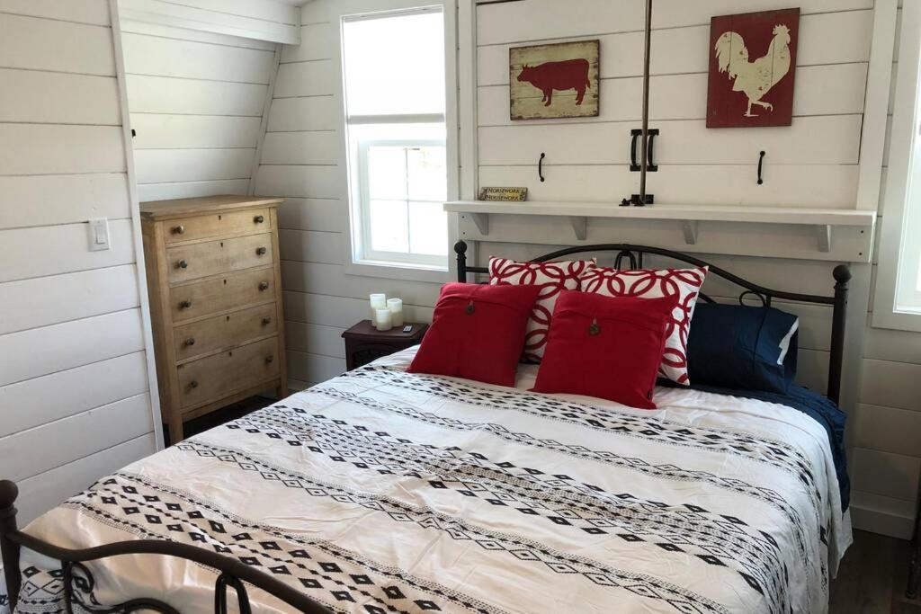 Amazing Loft On Horse Ranch Apartment Pilot Hill Екстериор снимка